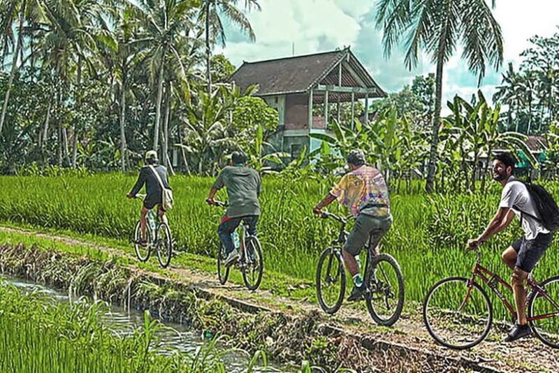 Half-Day Cycling to Discover Battambang's Rural Livelihoods - Final Thoughts: Who Will Love This Tour?
