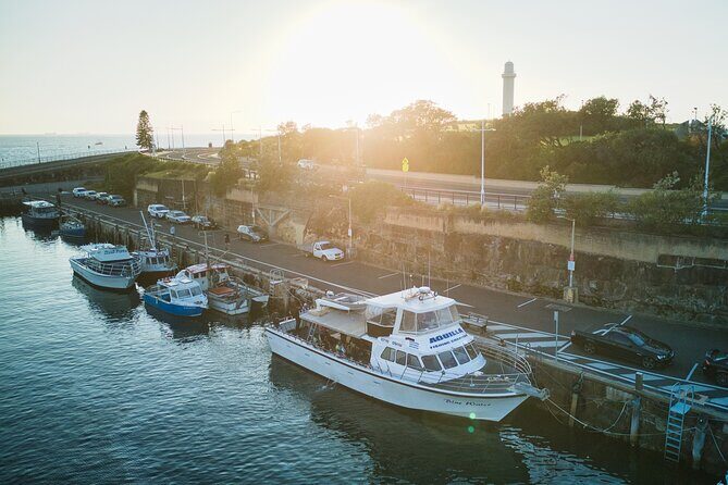 Half-Day Deep Sea Fishing in Wollongong - Weekdays only - An In-Depth Look at the Experience