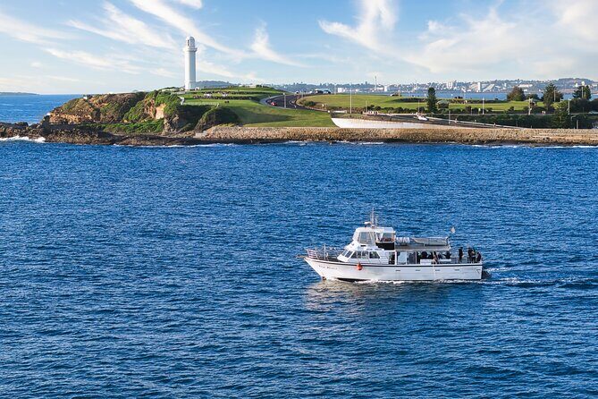 Half-Day Deep Sea Fishing in Wollongong - Weekdays only - The Sum Up