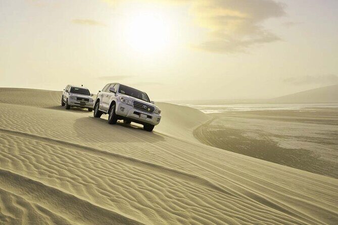 Half Day Desert Safari and Inland Sea - Discover the Wild Side of Qatar with a Half-Day Desert Safari and Inland Sea Tour