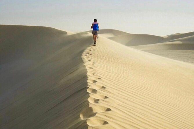 Half Day Desert Safari and Inland Sea - Practical Details and What to Expect