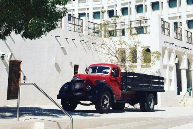 Half Day Desert Safari - Final Thoughts: Is It Worth It?