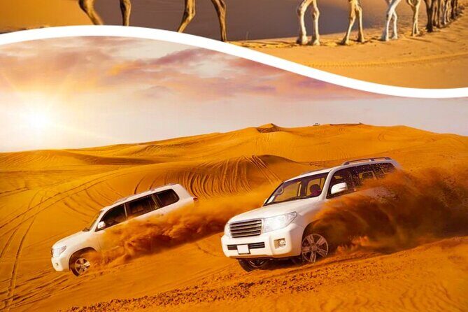 Half Day Desert Safari with Sand Boarding and Camel Ride - What to Expect on the Desert Safari