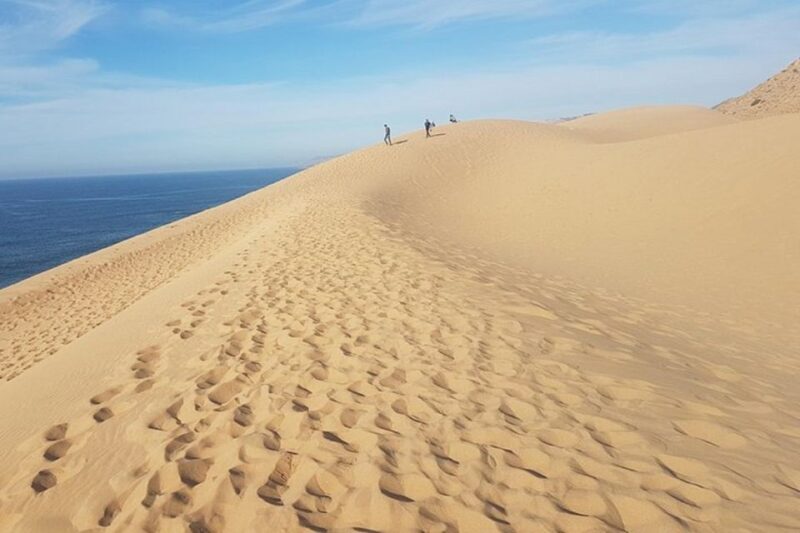 Half Day Desert Sand Boarding Experience With Dinner - An In-Depth Look at the Sahara Sandboarding Tour