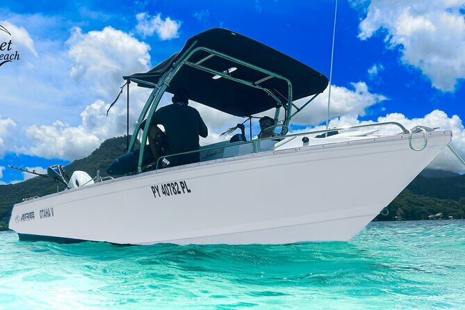 Half-Day Discovery of Moorea Lagoon by Private Boat. - Discovering Moorea’s Lagoon: An Overview