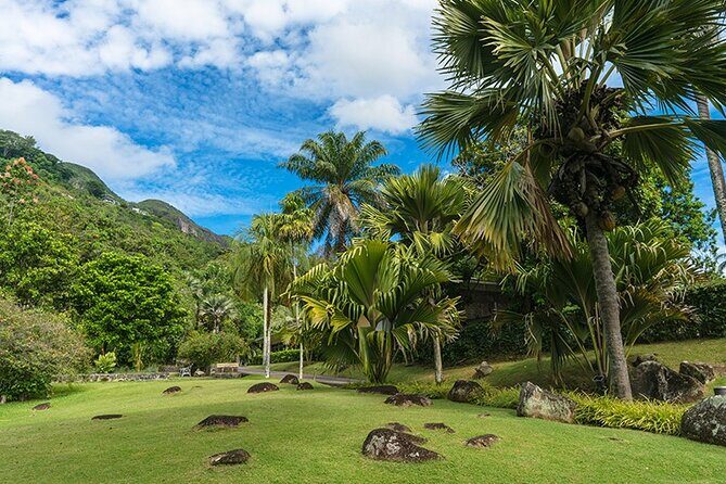 Half Day Discovery Tour of Victoria - Seychelles Capital on Mahe Island - Who Should Consider This Tour?