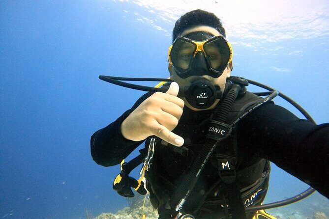 Half Day Diving adventure with Transportation Included - Key Points