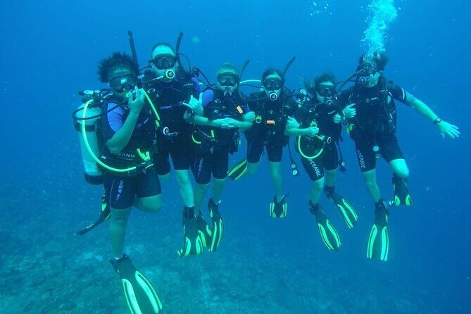 Half Day Diving adventure with Transportation Included - The Dive Sites: What Makes Them Special?