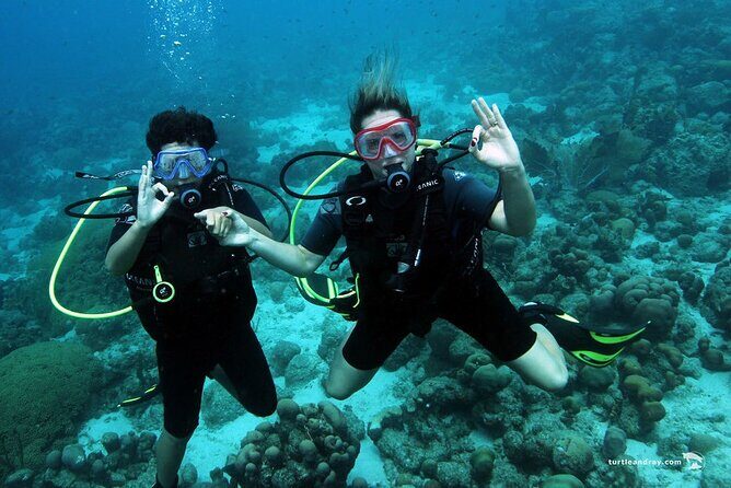 Half Day Diving adventure with Transportation Included - Final Thoughts