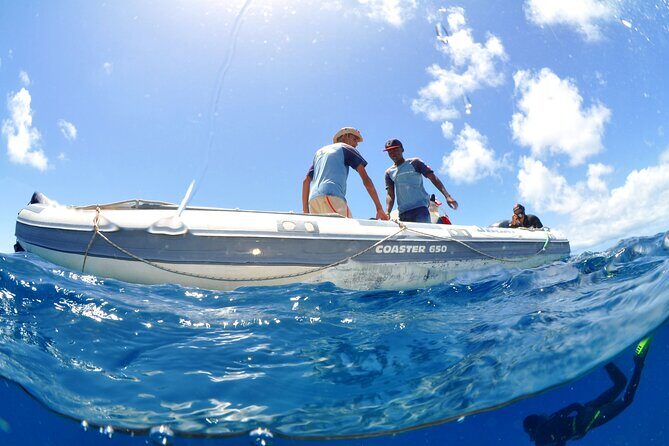 Half-Day Diving in Sal - What Makes This Tour Stand Out