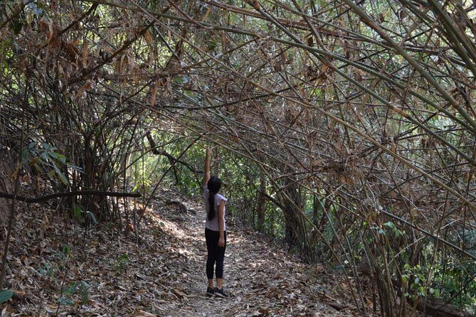 Half Day Doi Suthep Temple and short trekking on monk trail (Private Tour) - A Deep Dive into the Experience
