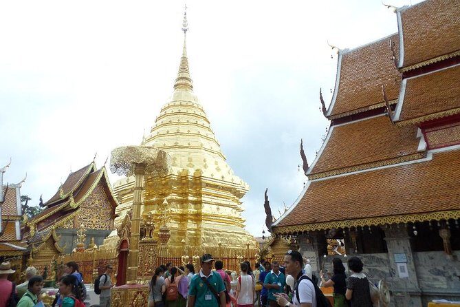 Half Day Doi Suthep Temple and short trekking on monk trail (Private Tour) - The Sum Up
