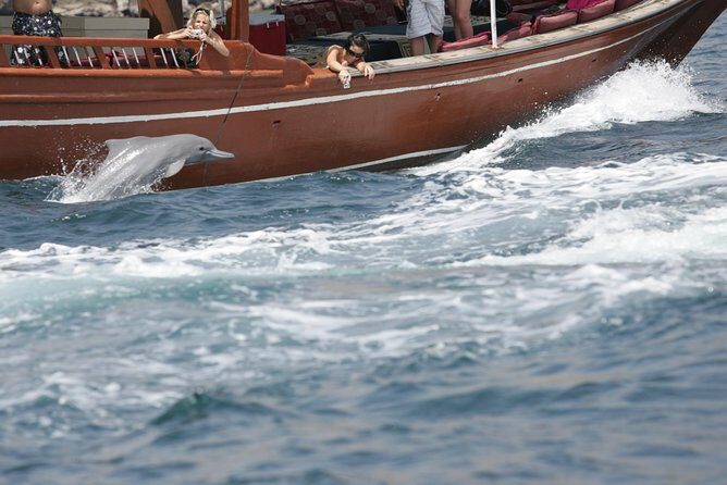 Half Day Dolphin Watching Musandam Dhow Cruise - What to Expect from the Dhow Cruise Experience