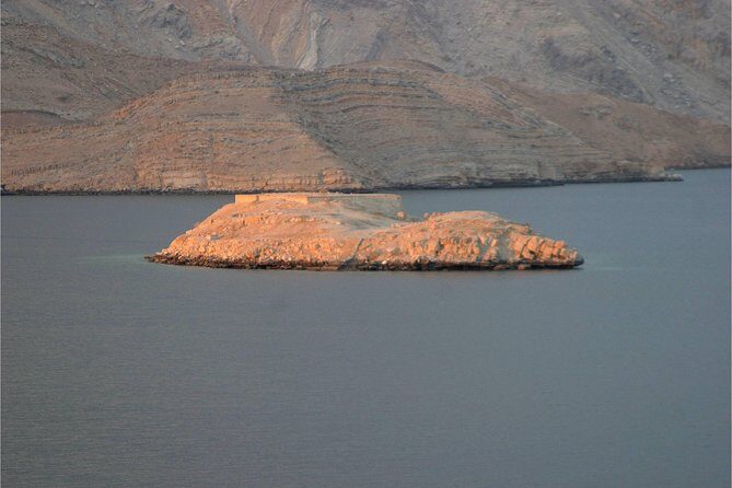 Half Day Dolphin Watching Musandam Dhow Cruise - Timing and Group Size
