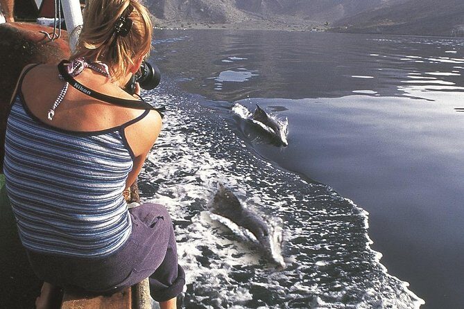 Half Day Dolphin Watching Musandam Dhow Cruise - Final Thoughts