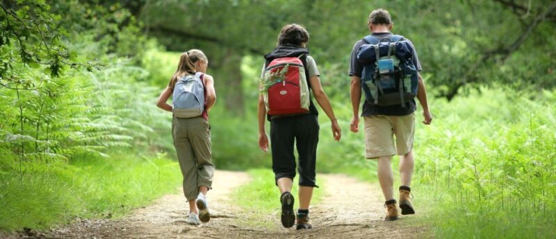 Half Day Drakensberg Mountains & Hiking Tour From Durban - Key Points
