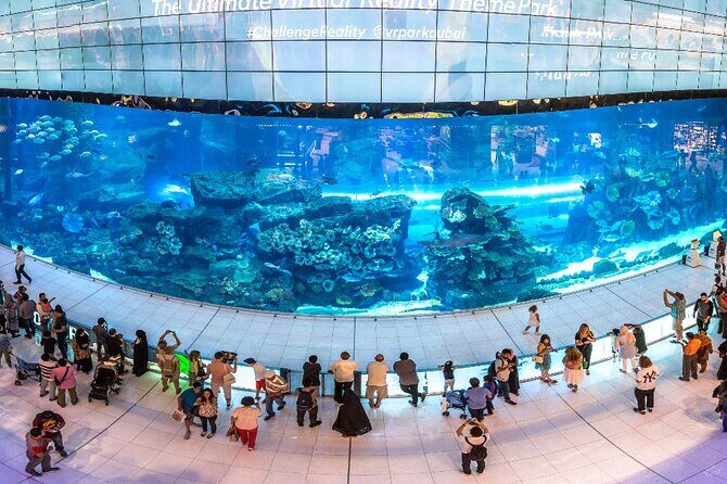 Half Day Dubai Modern Wonders Tour - The Itinerary Breakdown