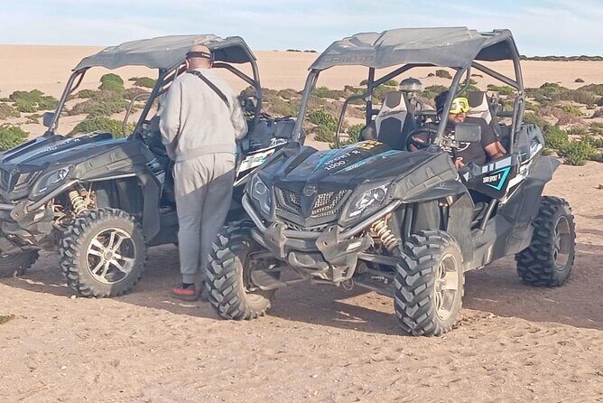 Half day dune Sahara Buggy in Agadir - Who Will Love This Tour?