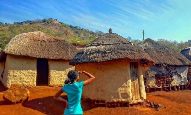 Half Day Durban City Tour and Phezulu Safari Park - Key Points