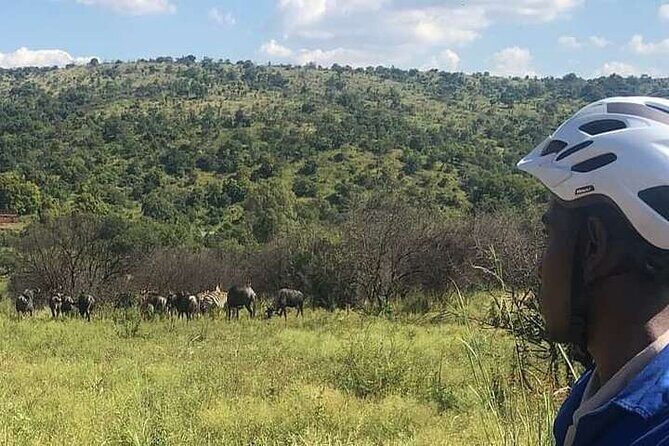 Half Day E-Biking with Wildlife Watching in Pretoria - What Travelers Say