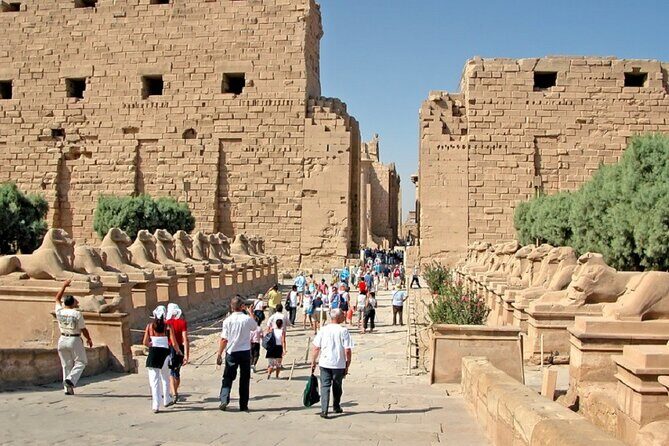 Half Day East Bank Tour to Luxor and Karnak Temples (Private) - Guides: The Heart of the Experience