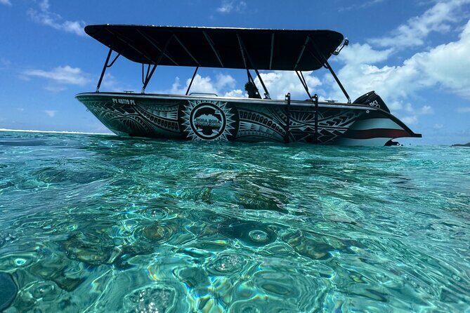 Half day Eco Snorkeling small group Tour in Bora Bora - The Itinerary in Detail