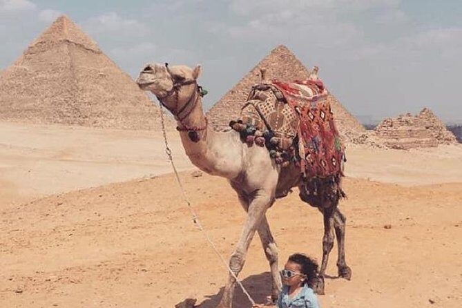 Half-Day Egypt Countryside Farm Tour. - Practical Details and Value