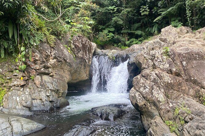 Half-Day El Yunque and Waterslides Adventure from Fajardo - The Itinerary in Detail: What to Expect