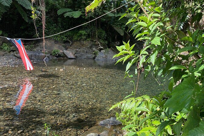 Half-Day El Yunque and Waterslides Adventure from Fajardo - Final Verdict