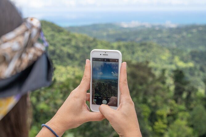 Half-Day El Yunque National Forest Tour from San Juan - The Full Breakdown of the Experience