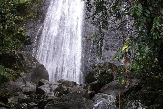 Half-Day El Yunque National Forest Tour from San Juan - The Sum Up