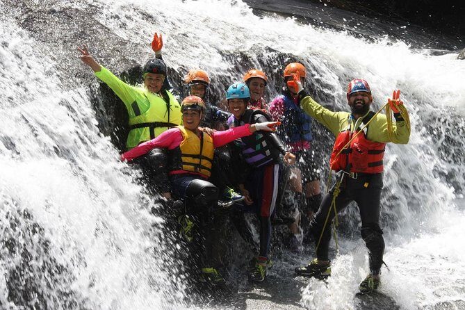 Half-Day El Yunque Rainforest Wilderness Adventure - Key Points