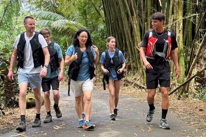 Half Day El Yunque Tour, Waterslide and Rope Swing - Is This Tour for You?