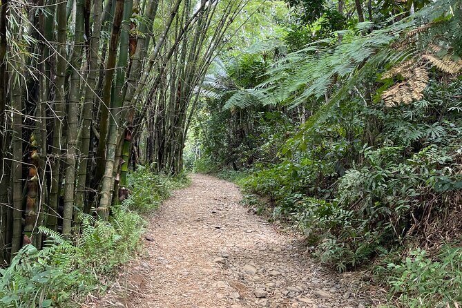 Half Day El Yunque Tour, Waterslide and Rope Swing - Final Thoughts