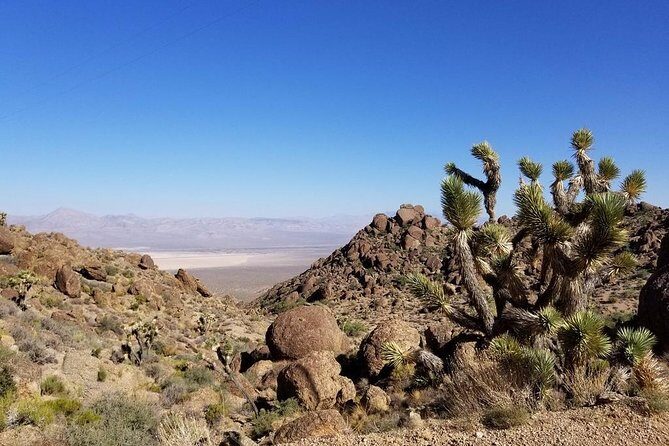Half-Day Electric Bike Tour of Red Rock Canyon - The Itinerary and Experience