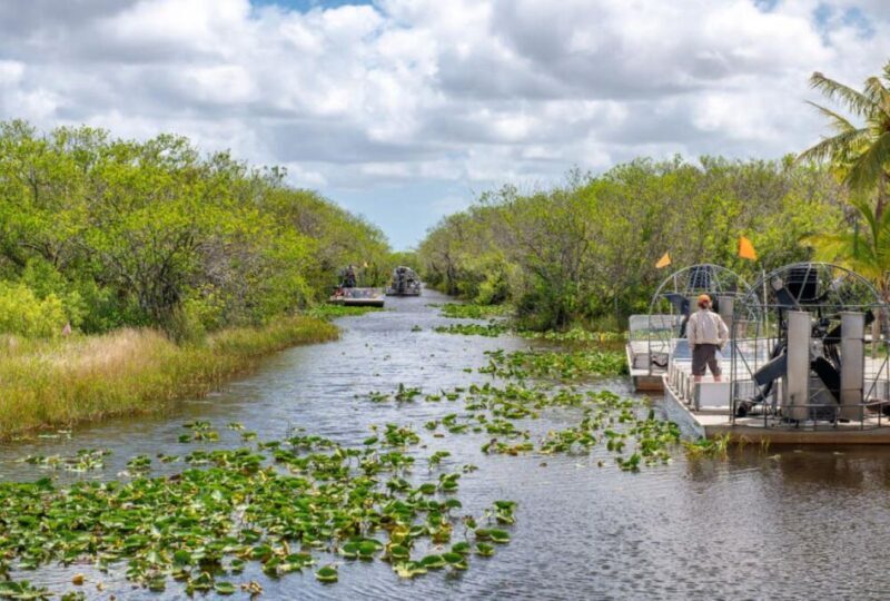 Half-Day Everglades Airboat Tours and Transportation - The Experience’s Strengths