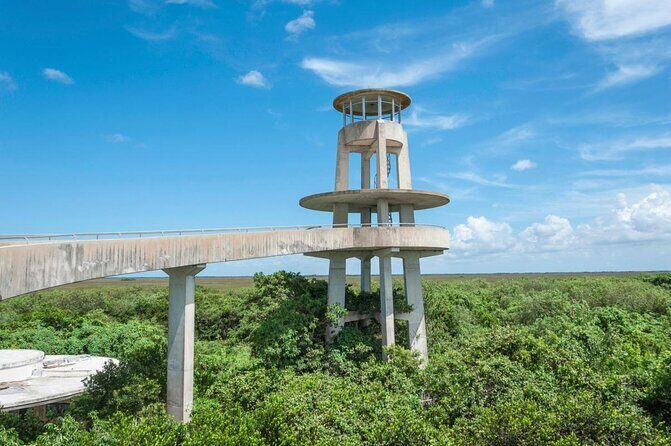 Half-day Everglades National Park Tour and 1-Hour Air Boat Ride - Key Points