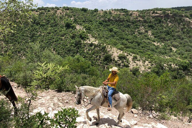Half Day Excursion - Horseback Riding Adventure in SMA - Who Will Love This Experience?