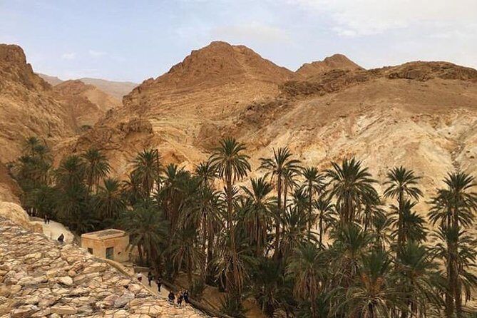 Half-day excursion the mountain oases from Tozeur - Exploring the Mountain Oases from Tozeur: An Authentic Half-Day Adventure