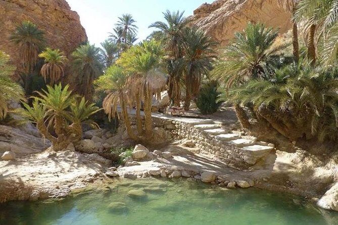 Half-day excursion the mountain oases from Tozeur - What’s Included and What’s Not