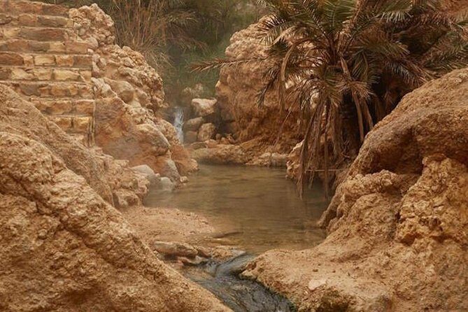 Half-day excursion the mountain oases from Tozeur - The Experience: What You Can Expect