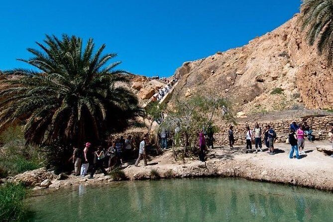 Half-day excursion the mountain oases from Tozeur - Value for Money and Who Will Benefit Most