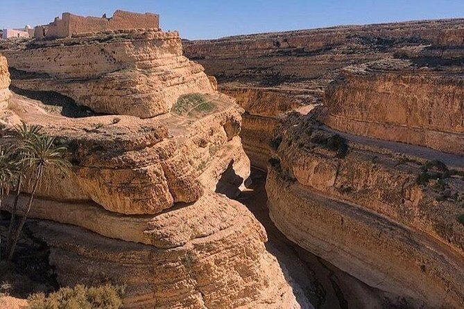 Half-day excursion the mountain oases from Tozeur - Final Thoughts: Is This Tour for You?