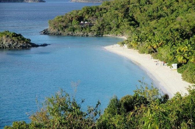Half-Day Excursion to Trunk Bay Beach - Who Should Consider This Tour?
