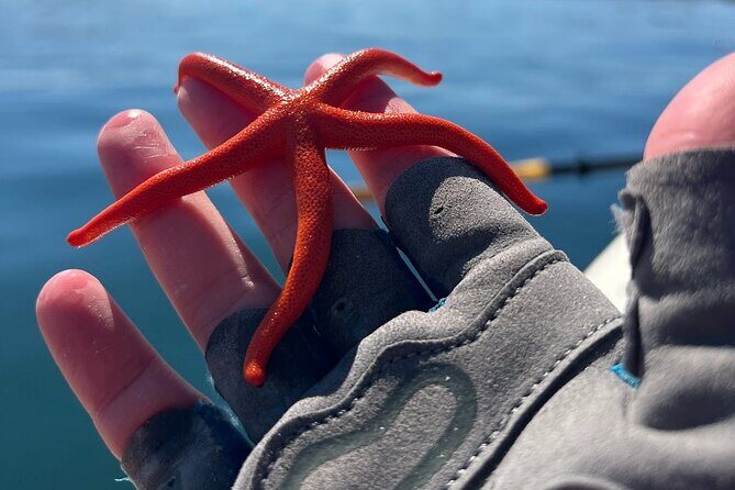 Half Day Family Paddle and Hike - A Detailed Look at the Half Day Family Paddle and Hike