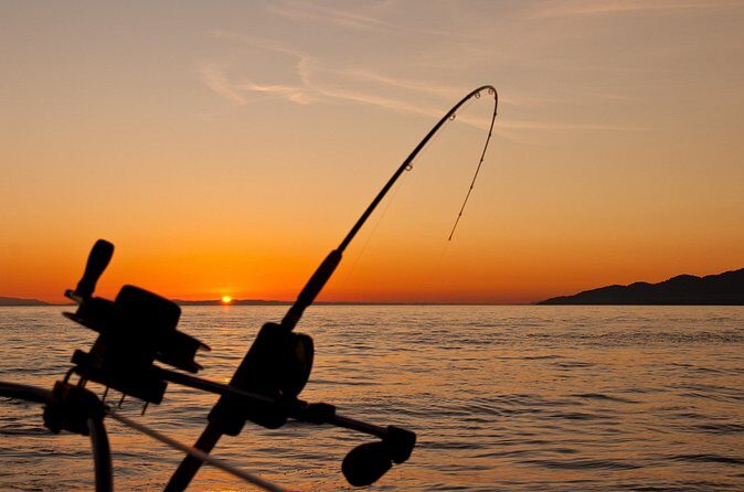 Half Day Fishing Adventure - The Sum Up: Is It Worth It?