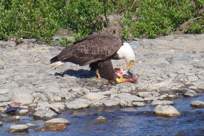 Half-Day Fishing Trip on the Kenai River - Who Should Consider This Trip?