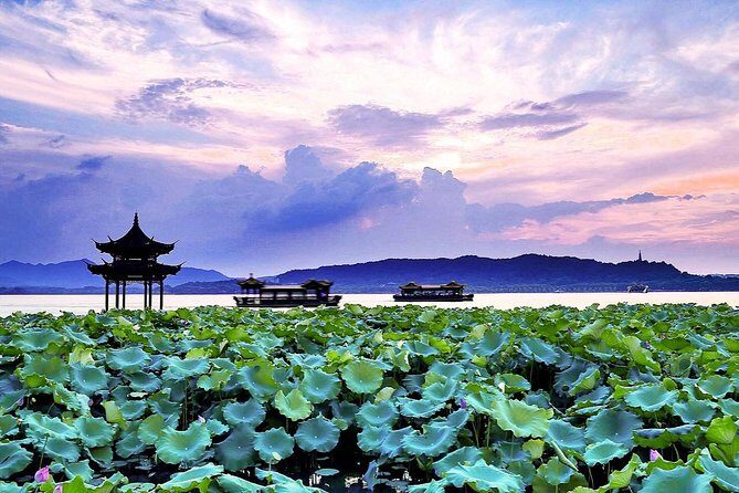 Half-Day Flexible Private Hangzhou Highlight Tour - What Makes This Tour Stand Out?