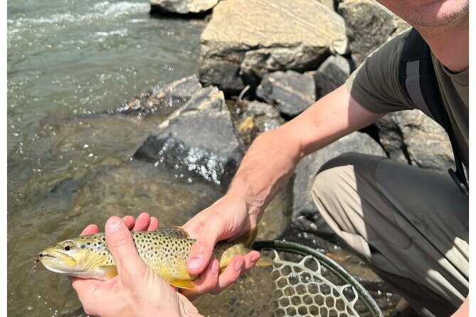 Half Day Fly Fishing Lesson on Clear Creek near Denver - Exploring the Experience