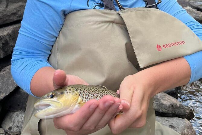 Half Day Fly Fishing Lesson on Clear Creek near Denver - Frequently Asked Questions